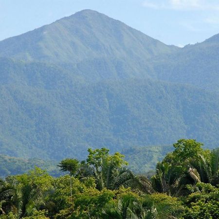 Villa Kiskadee - Beautiful Mountain Views With Private Pool Quepos Exteriér fotografie