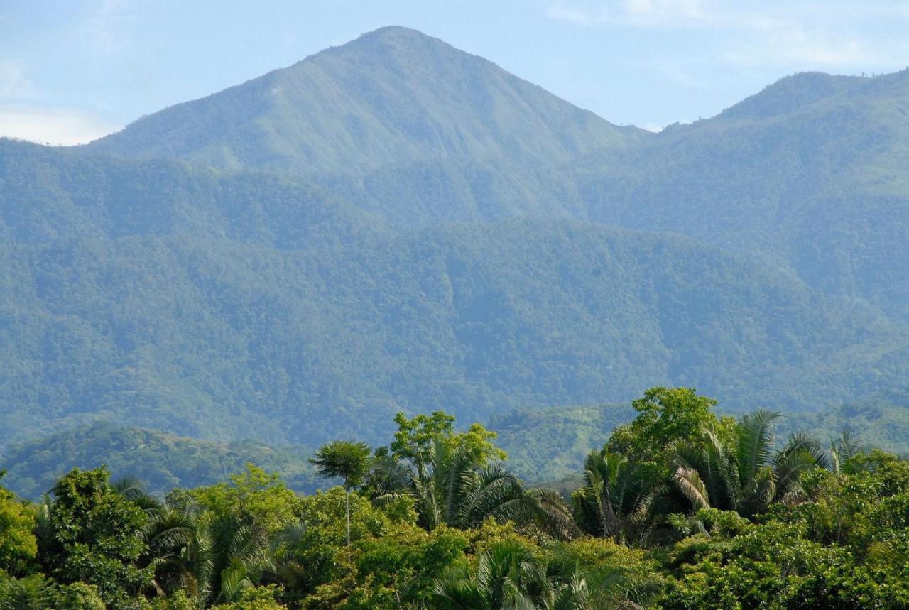 Villa Kiskadee - Beautiful Mountain Views With Private Pool Quepos Exteriér fotografie
